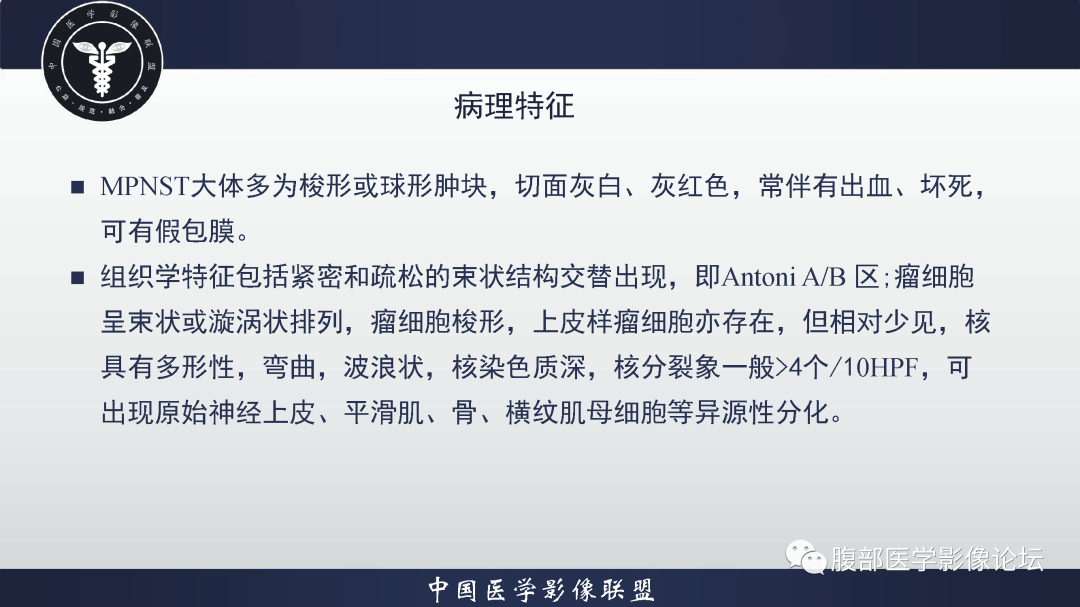 影像PPT - 【病例】恶性外周神经鞘瘤1例CT及MR影像诊断-17