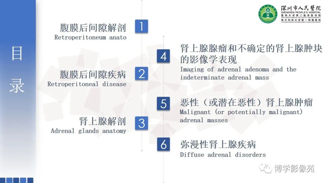 影像PPT - 【PPT】腹膜后间隙及肾上腺常见疾病影像表现-2