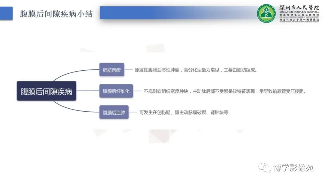 影像PPT - 【PPT】腹膜后间隙及肾上腺常见疾病影像表现-13