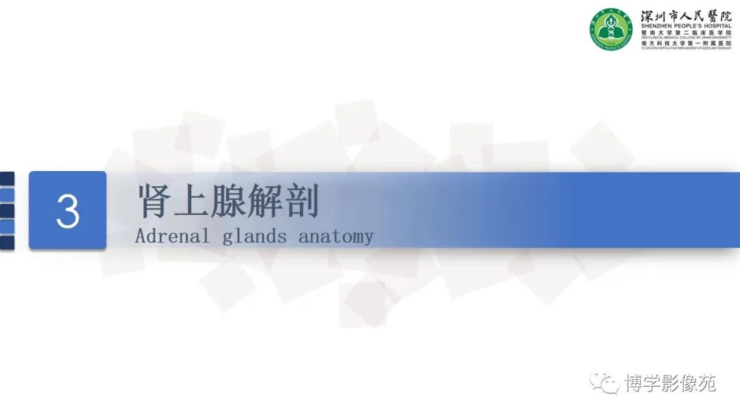 影像PPT - 【PPT】腹膜后间隙及肾上腺常见疾病影像表现-14