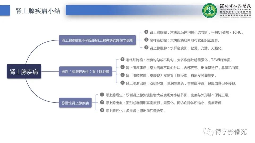 影像PPT - 【PPT】腹膜后间隙及肾上腺常见疾病影像表现-39