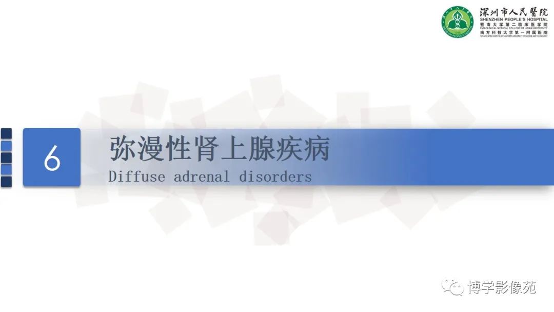 影像PPT - 【PPT】腹膜后间隙及肾上腺常见疾病影像表现-35