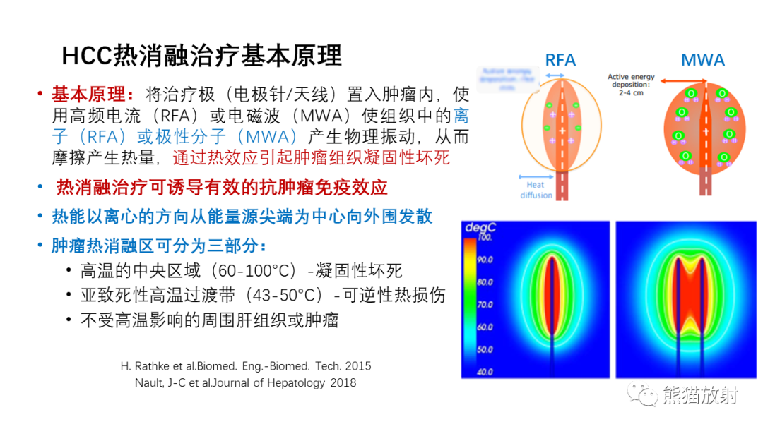 影像PPT - 【PPT】HCC热消融治疗后影像表现解读及报告标准-3