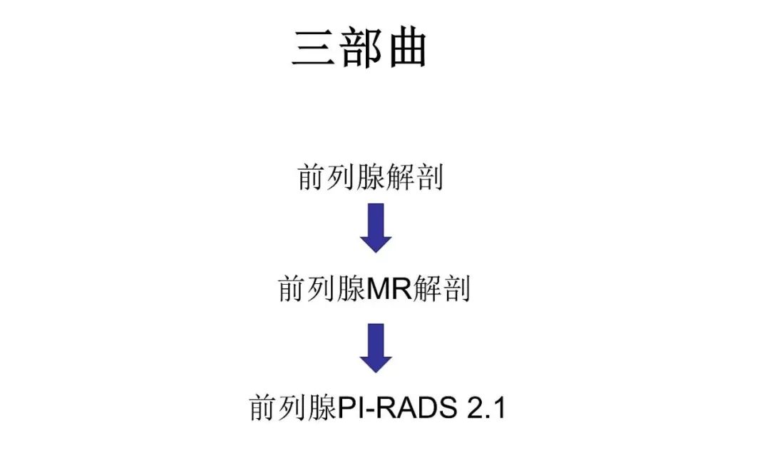 影像PPT - 前列腺磁共振PI-PARS V2.1及正确的报告书写-38 影像PPT - 前列腺磁共振PI-PARS V2.1及正确的报告书写-38