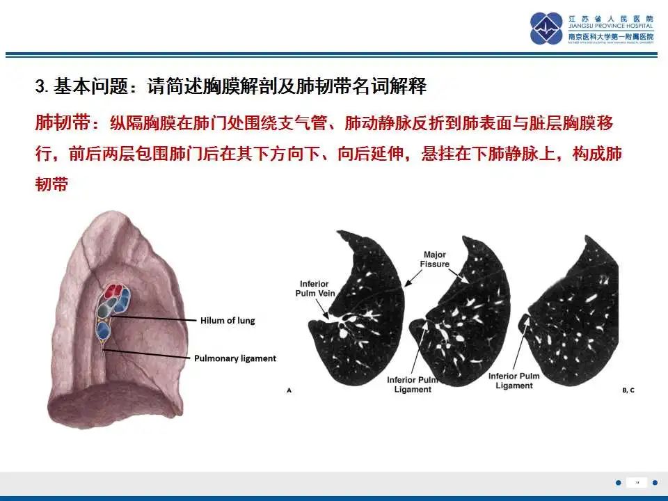 影像PPT - 【PPT】囊腔型肺癌伴胸膜转移-15
