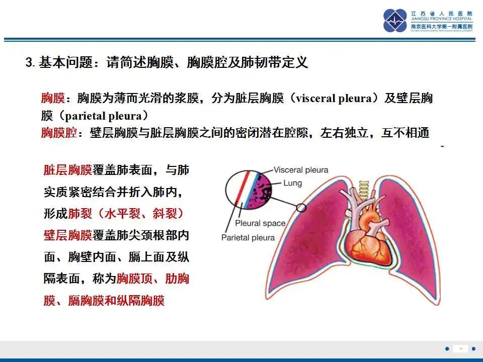 影像PPT - 【PPT】囊腔型肺癌伴胸膜转移-14