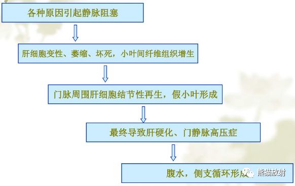 影像PPT - 布加氏综合征肝脏继发改变MRI表现-2 影像PPT - 布加氏综合征肝脏继发改变MRI表现-2