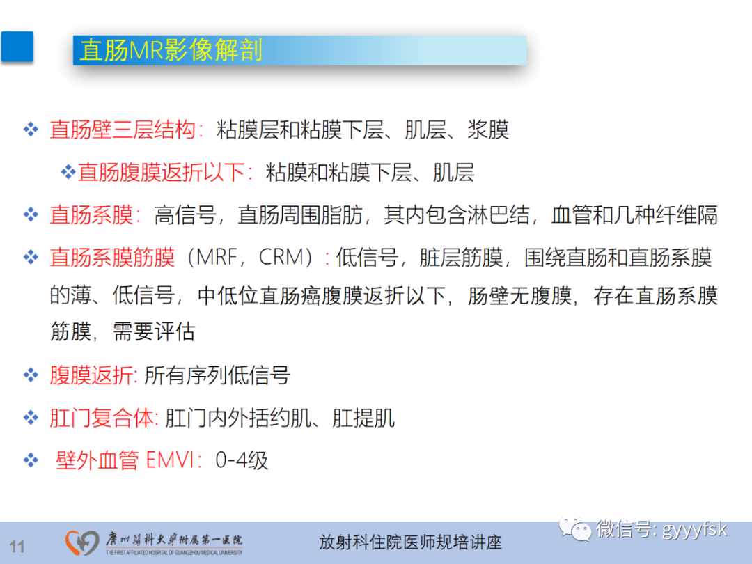 影像PPT - 【PPT】直肠癌MRI规范扫描及分期诊断-12