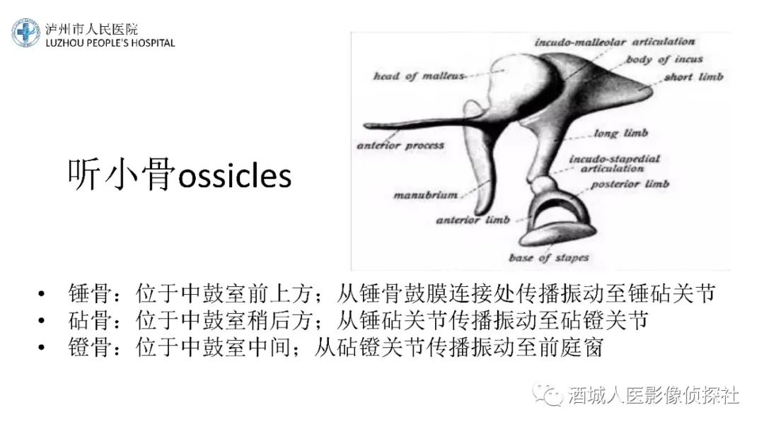 影像PPT - 【PPT】传导性耳聋的CT诊断-64