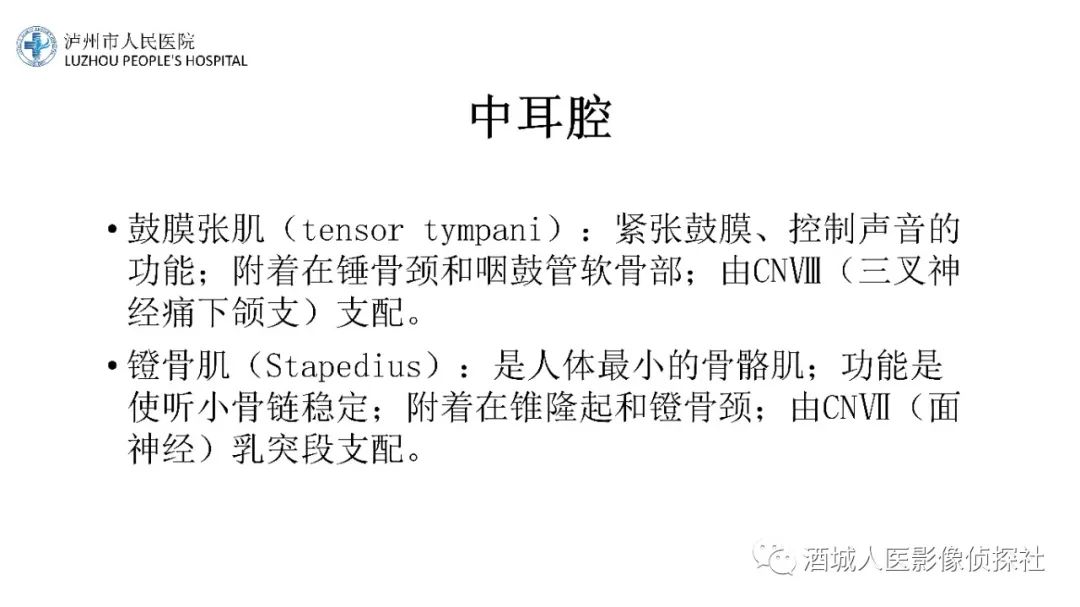 影像PPT - 【PPT】传导性耳聋的CT诊断-67