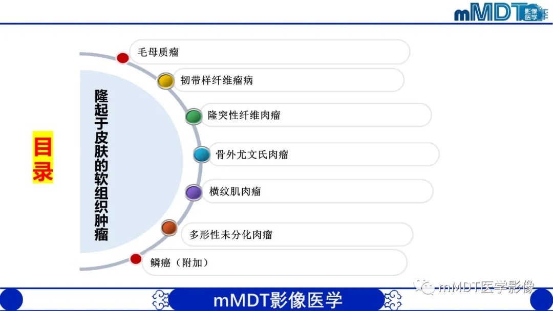 影像PPT - 【PPT】隆起于皮肤的肿瘤探讨-3