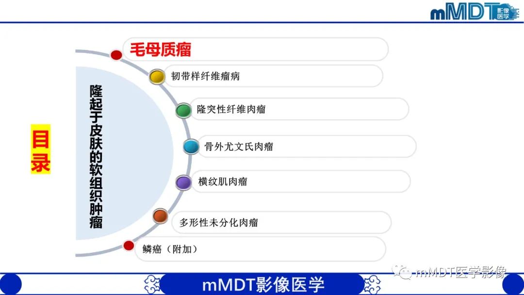 影像PPT - 【PPT】隆起于皮肤的肿瘤探讨-4