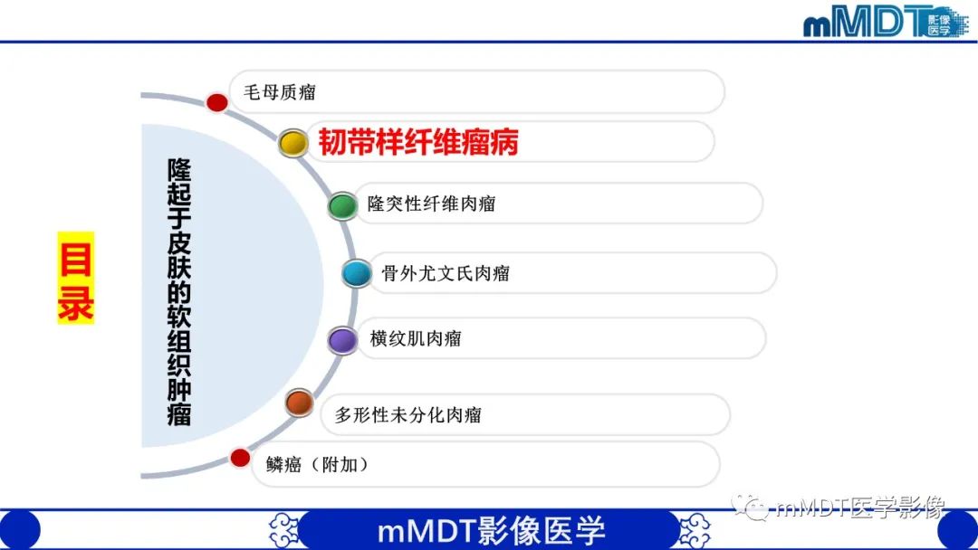 影像PPT - 【PPT】隆起于皮肤的肿瘤探讨-9