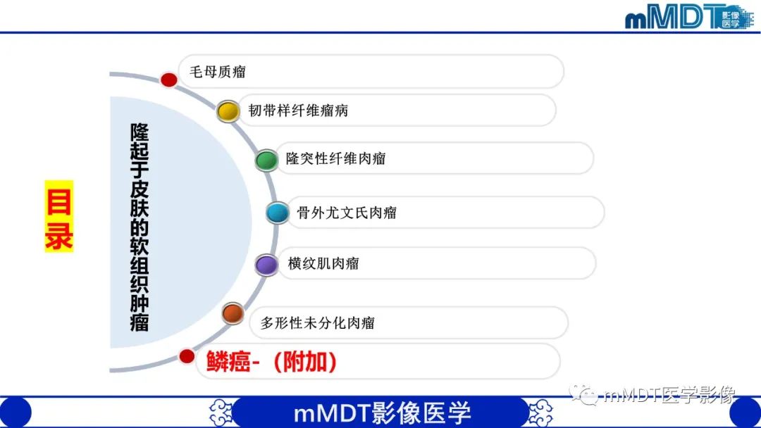 影像PPT - 【PPT】隆起于皮肤的肿瘤探讨-44