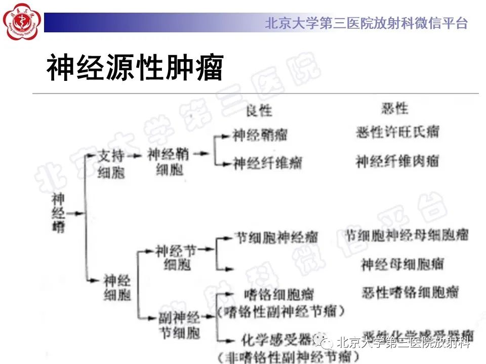 影像PPT - 【PPT】肾上腺节细胞神经瘤-23