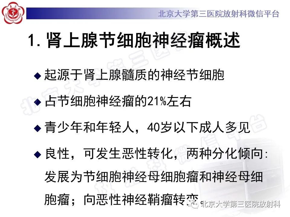 影像PPT - 【PPT】肾上腺节细胞神经瘤-25
