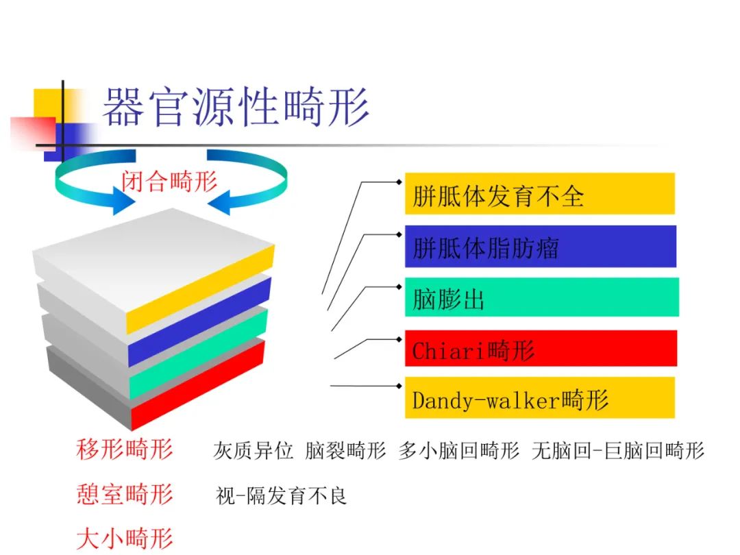 影像PPT - 【PPT】先天畸形、变性及椎管疾病-3