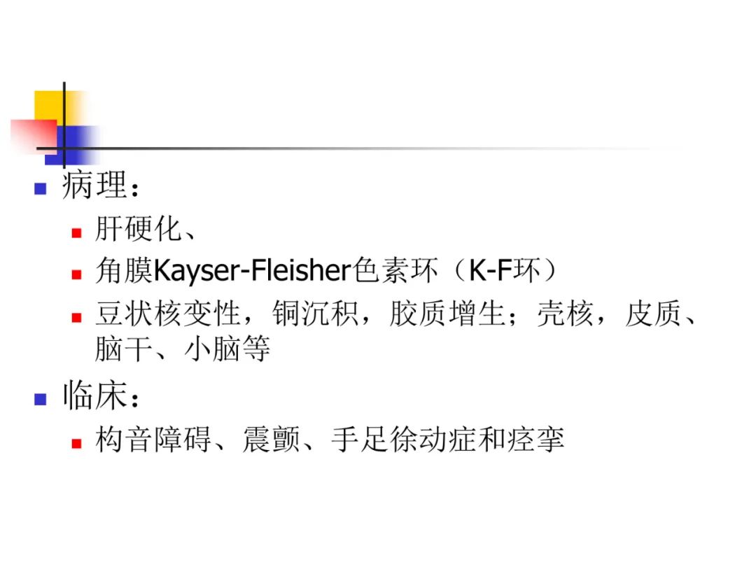 影像PPT - 【PPT】先天畸形、变性及椎管疾病-62