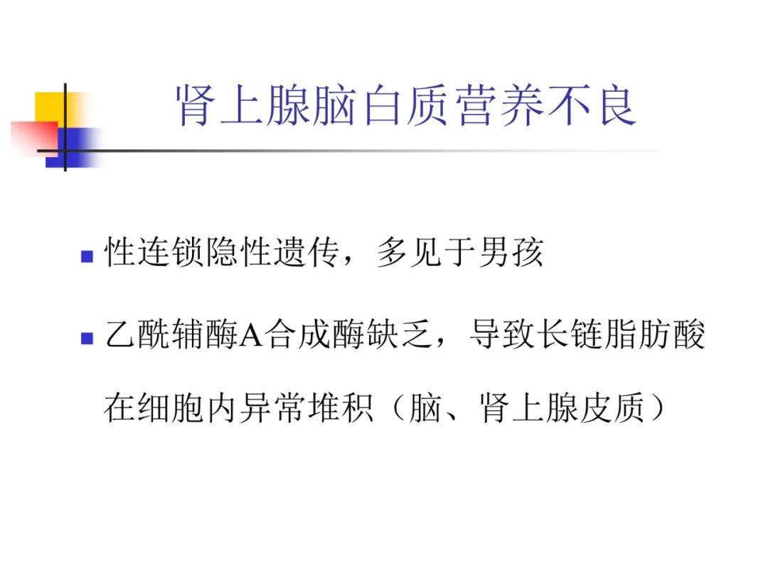 影像PPT - 【PPT】先天畸形、变性及椎管疾病-67