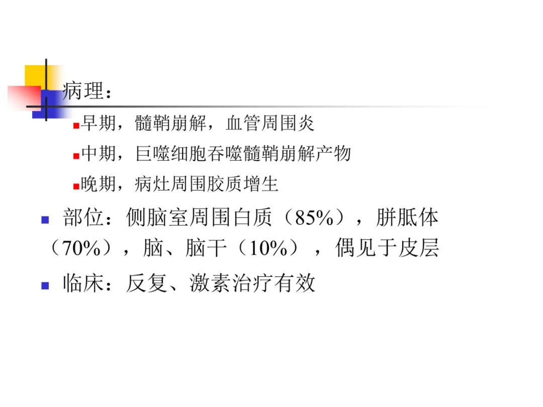影像PPT - 【PPT】先天畸形、变性及椎管疾病-72