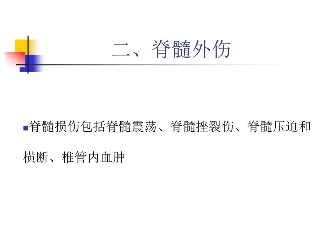 影像PPT - 【PPT】先天畸形、变性及椎管疾病-95