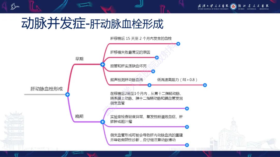 影像PPT - 【PPT】肝移植术后并发症影像诊断-9