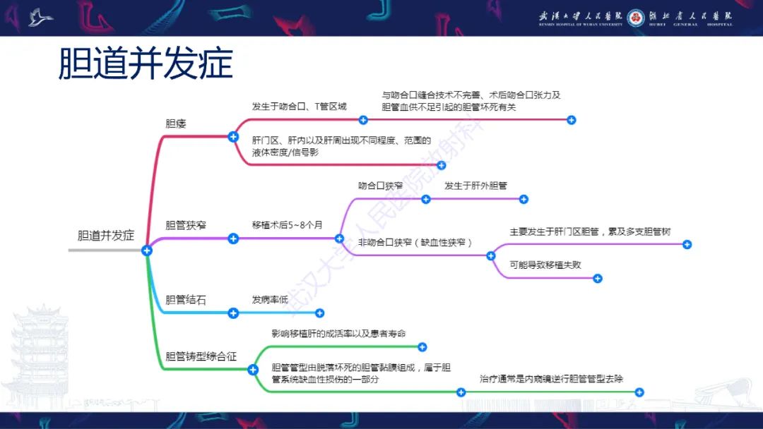 影像PPT - 【PPT】肝移植术后并发症影像诊断-27