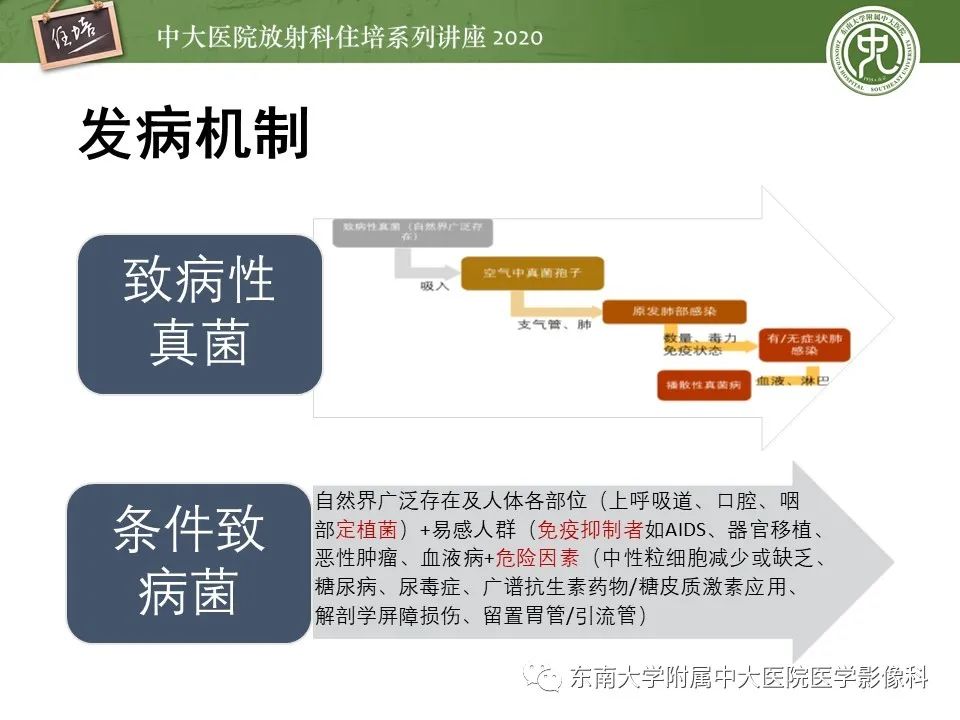 影像PPT - 【PPT】肺真菌病的影像诊断-8