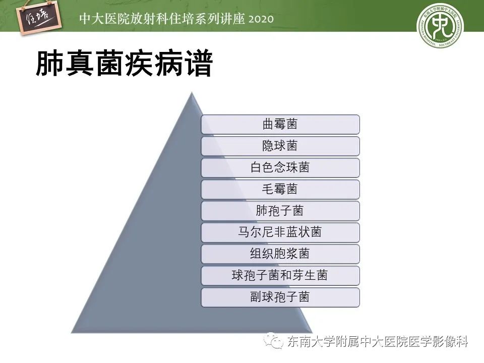 影像PPT - 【PPT】肺真菌病的影像诊断-9