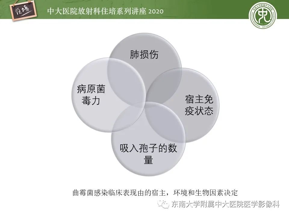 影像PPT - 【PPT】肺真菌病的影像诊断-11