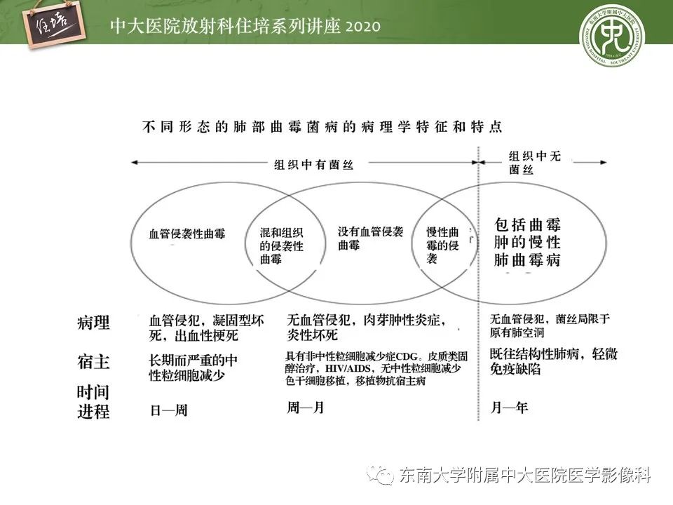 影像PPT - 【PPT】肺真菌病的影像诊断-13