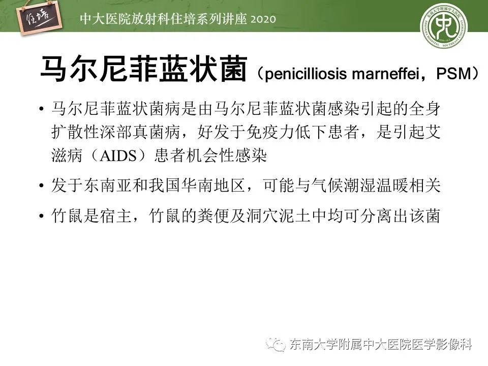 影像PPT - 【PPT】肺真菌病的影像诊断-4