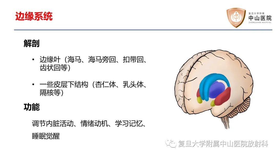 影像PPT - 【病例】边缘性脑炎—自身免疫性脑炎 VS 病毒性脑炎-11