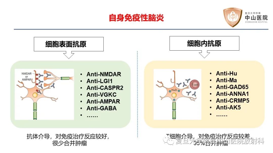 影像PPT - 【病例】边缘性脑炎—自身免疫性脑炎 VS 病毒性脑炎-14