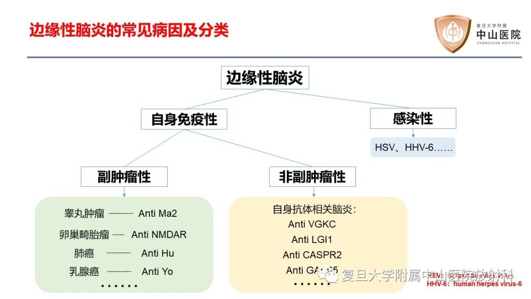 影像PPT - 【病例】边缘性脑炎—自身免疫性脑炎 VS 病毒性脑炎-13
