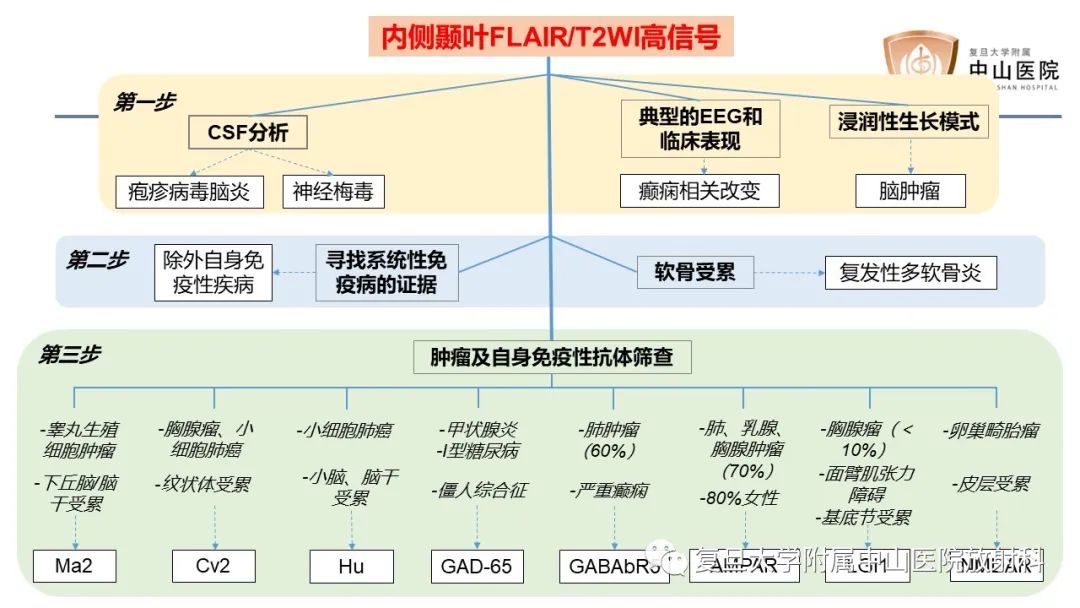 影像PPT - 【病例】边缘性脑炎—自身免疫性脑炎 VS 病毒性脑炎-21