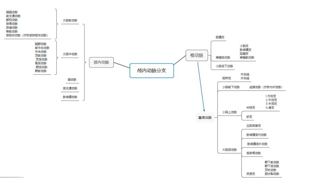 影像PPT - 【PPT】头颈CTA扫描技术与临床应用-5