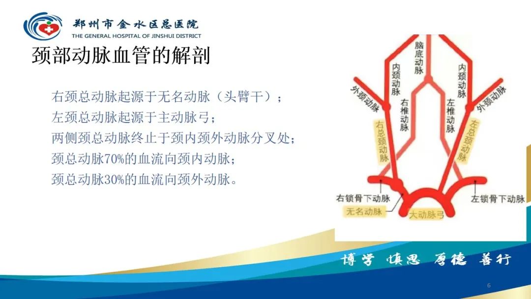 影像PPT - 【PPT】头颈CTA扫描技术与临床应用-6
