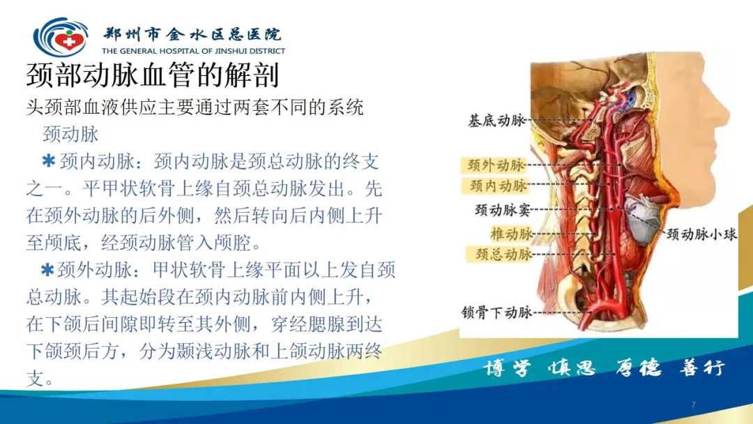 影像PPT - 【PPT】头颈CTA扫描技术与临床应用-7