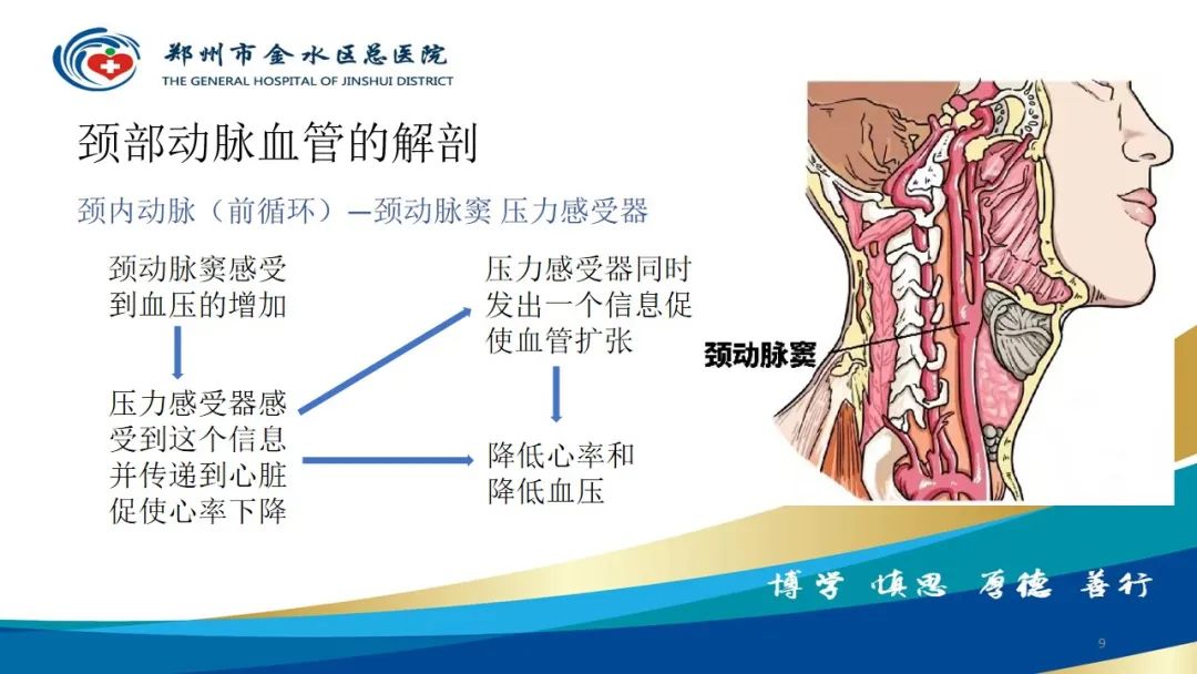 影像PPT - 【PPT】头颈CTA扫描技术与临床应用-9