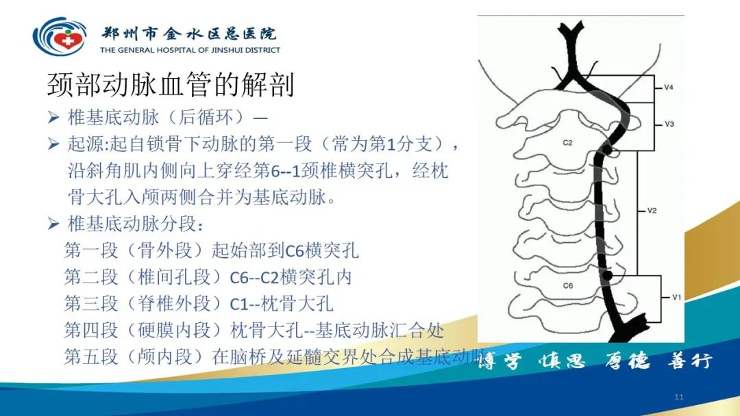 影像PPT - 【PPT】头颈CTA扫描技术与临床应用-11