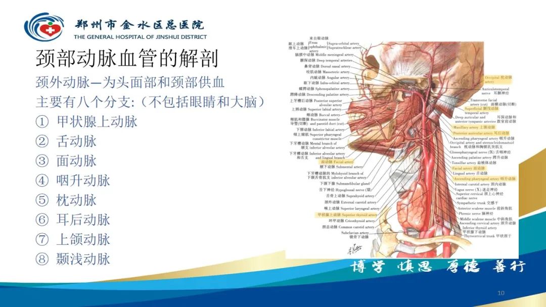 影像PPT - 【PPT】头颈CTA扫描技术与临床应用-10