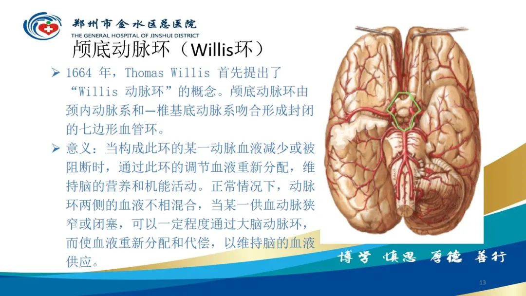 影像PPT - 【PPT】头颈CTA扫描技术与临床应用-13