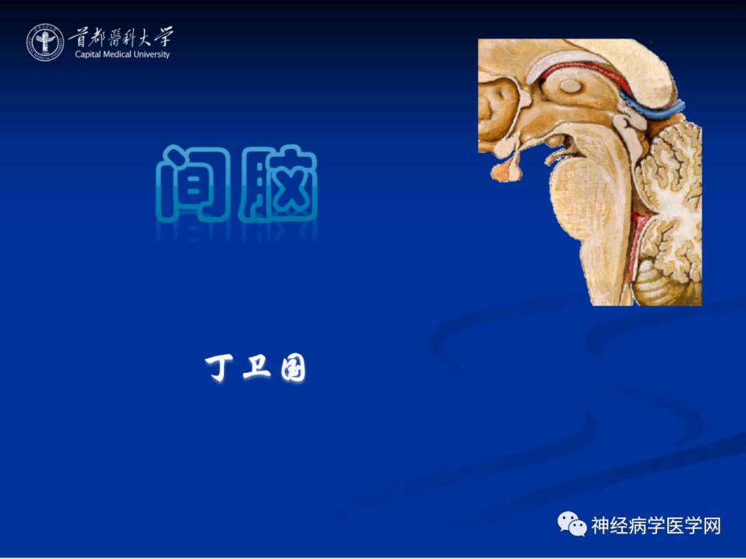 影像PPT - 【PPT】颅脑解剖—间脑-1