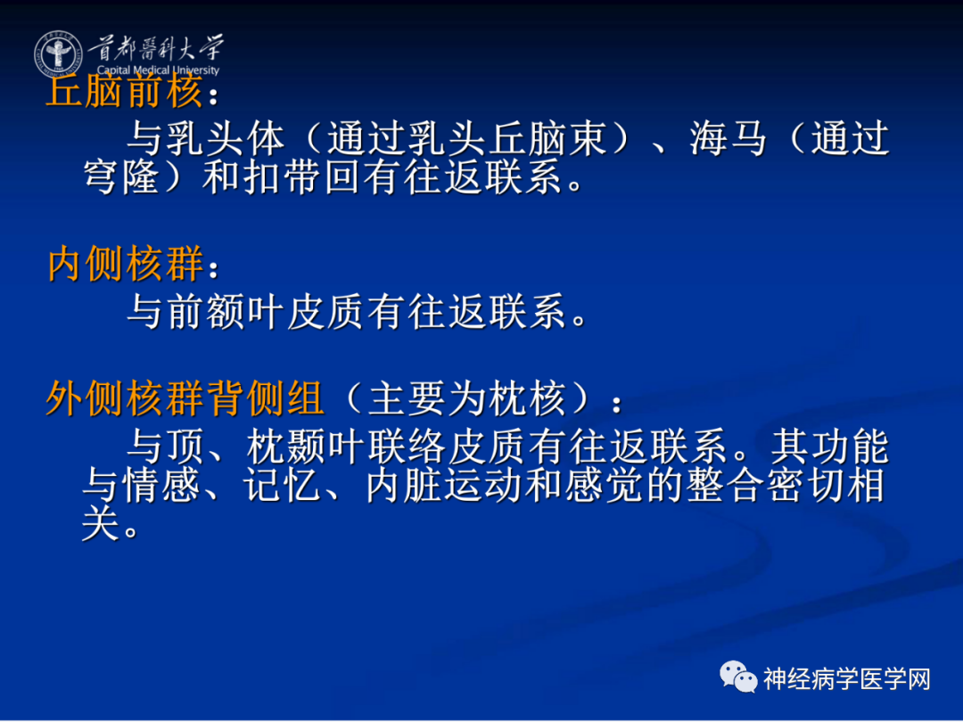 影像PPT - 【PPT】颅脑解剖—间脑-28