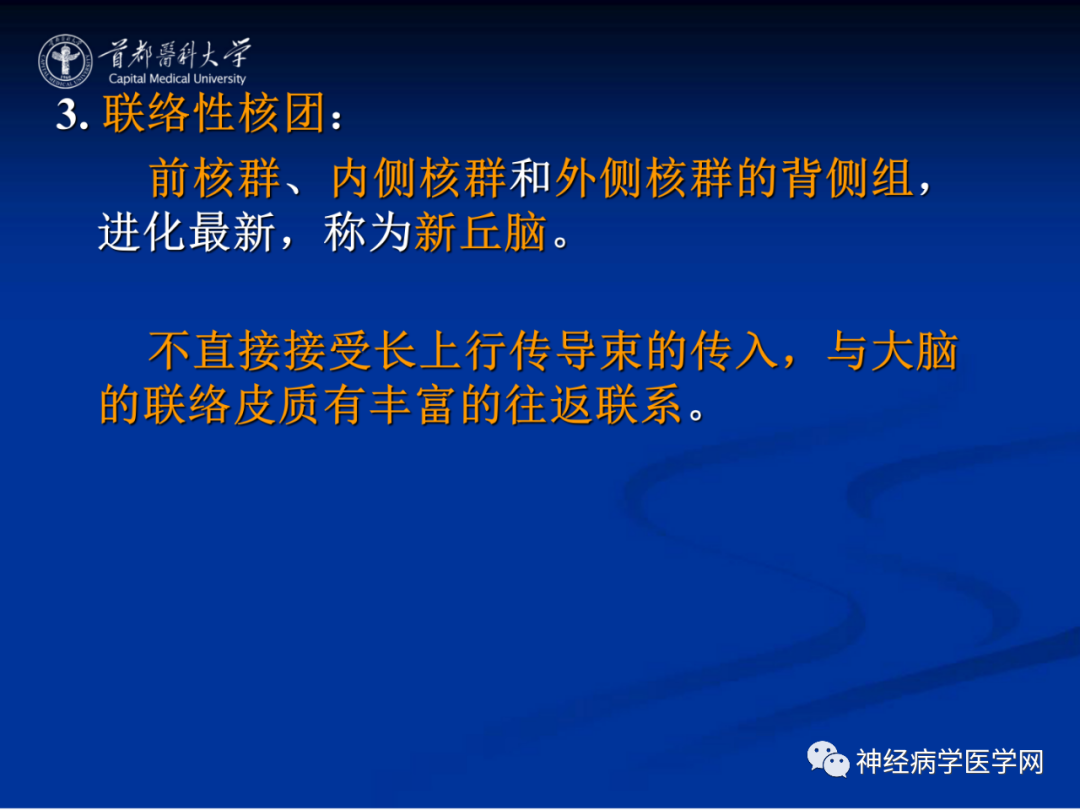影像PPT - 【PPT】颅脑解剖—间脑-27