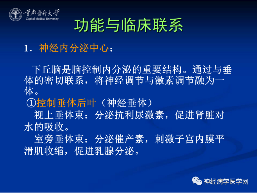 影像PPT - 【PPT】颅脑解剖—间脑-54
