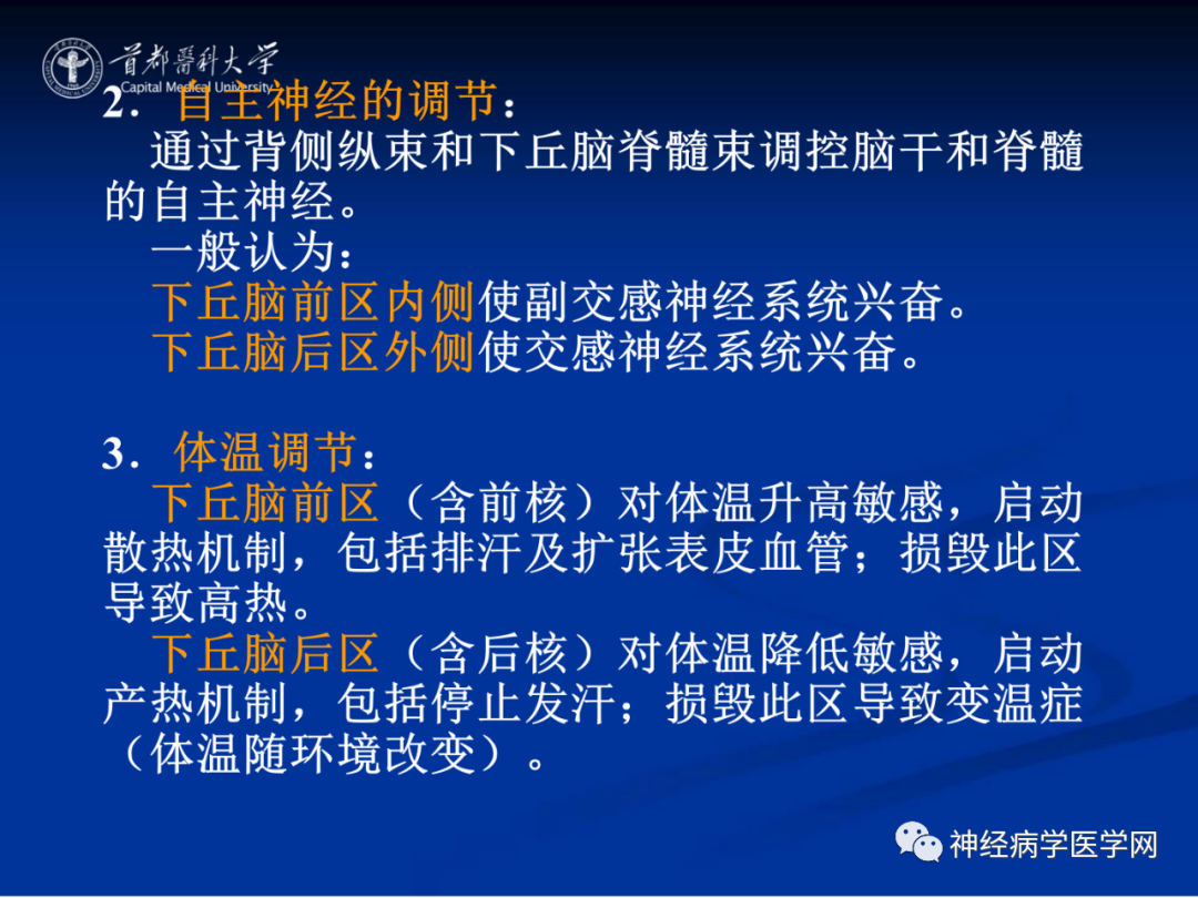影像PPT - 【PPT】颅脑解剖—间脑-56