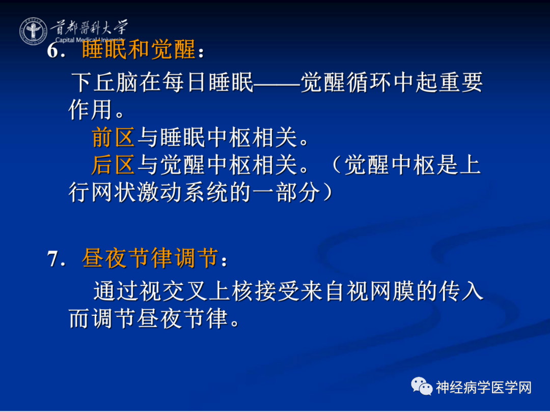 影像PPT - 【PPT】颅脑解剖—间脑-58