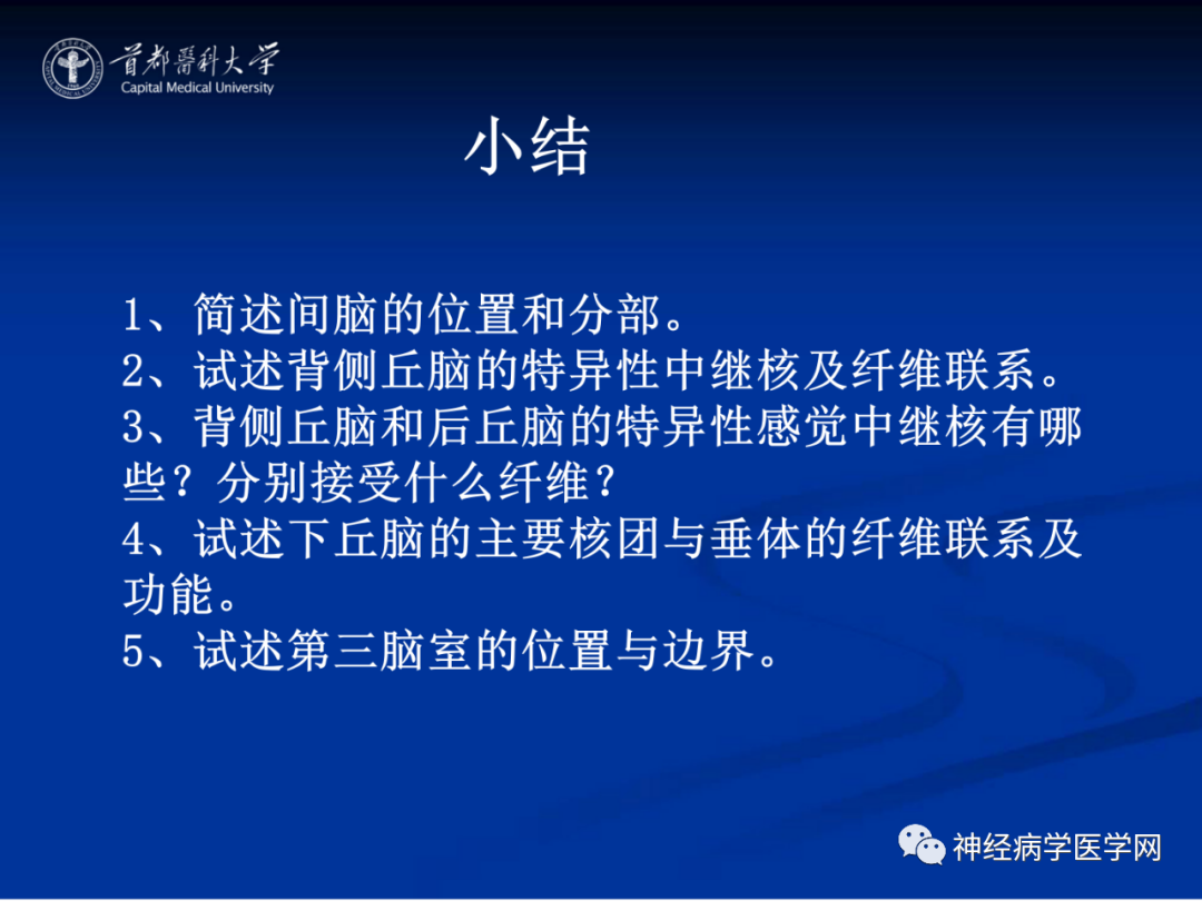 影像PPT - 【PPT】颅脑解剖—间脑-63